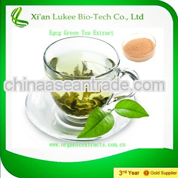 100% Natural Pure Green Tea Extract