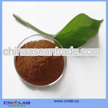 100% Natural St.john's. Wort Powdered Extract