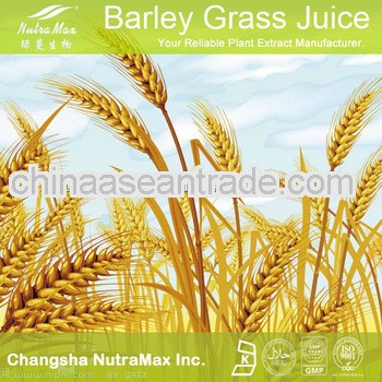 100% Natural Young Barley Grass Juice Extract Powder