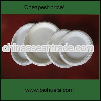 10inch food or fruit bulk disposable plate for india market