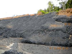 STEAM COAL