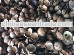 coconut shell charcoal