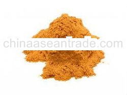 CINNAMON POWDER Indonesia Origin