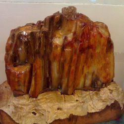 Petrified Wood Agate