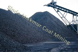 STEAM COAL, COAL, WASHED COAL