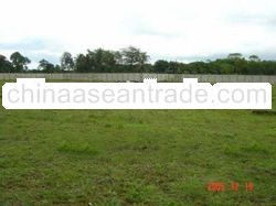 land for sale - propery for sale