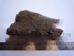 prehistoric stone