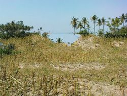 Land with Ocean View in Bali