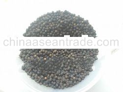 indonesia black pepper