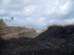 Steam Coal GCV 5500 Reject 5300 ADB