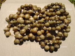 Aquilla Malacensis Agarwood Beads
