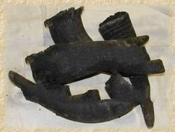 Raw Syncerus caffer Horns