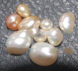 natural pearl pinctada