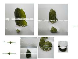 Moldavite