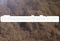 Coconut Fiber