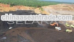 INDONESIAN STEAM COAL