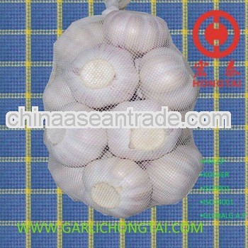 2012 Fresh Snow White Garlic 5.5CM 