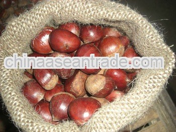 2012 New Season Fresh Chestnut (40-60pcs/kg)