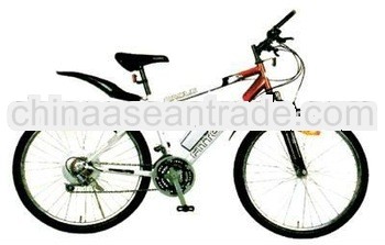 2012 fashionable 18 speed mountain bicycle