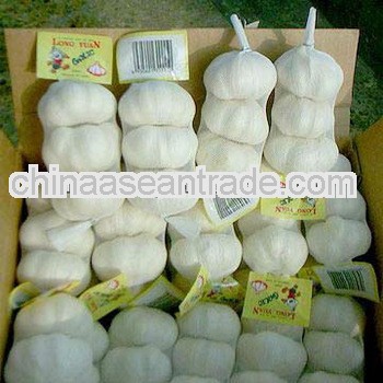 2012 fresh pure white garlic 5.0-6.0cm