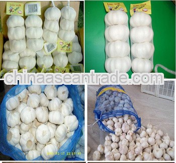 2012 garlic market price