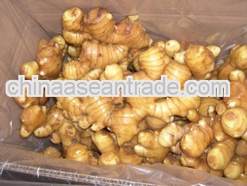 2012pure/normal white garlic--best seller