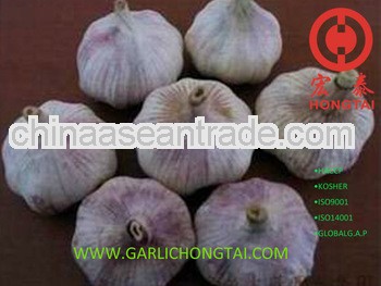 2013 Chinese Purple Garlic 4.5CM Price