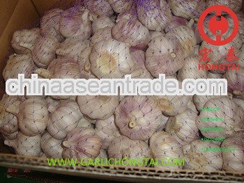 2013 Chinese Red Garlic 5.5CM Price