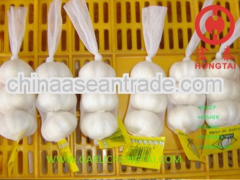 2013 Jinxiang Pure White Garlic 5.0CM Price