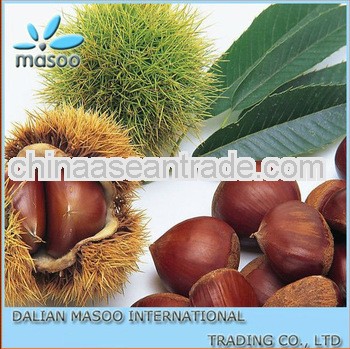 2013 chestnuts - new crop*