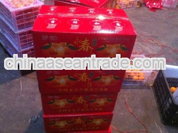 2013 chinese best seller pokan orange