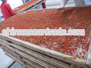 2013 dried organic Goji Berries / wolfberry fruit