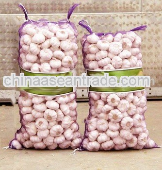 2013 fresh garlic China garlic, snow white garlic price