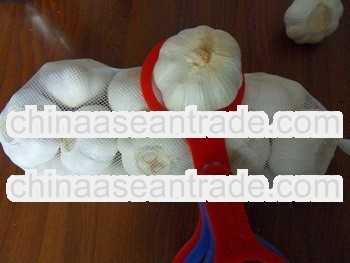 2013 jinxiang garlic price