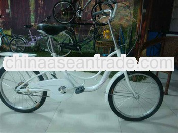 2013 mini city bike