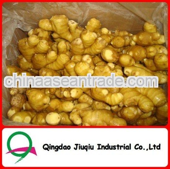 2013 new crop Chinese fresh ginger supplying