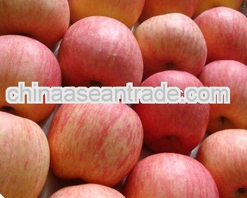 2013 new crop best price fresh fuji apple