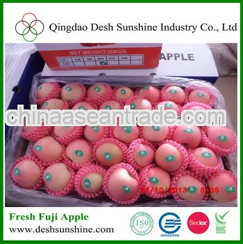 2013 new crop fresh delicious apple fruit