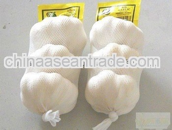 2013 new crop fresh garlic in 