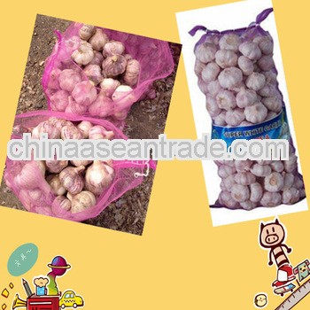 2013 new fresh white garlic in mesh bag only