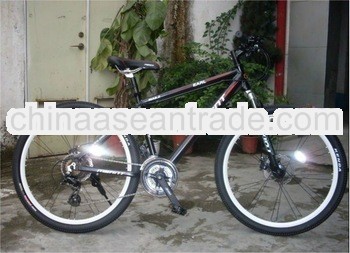 2013 new style mountain bike