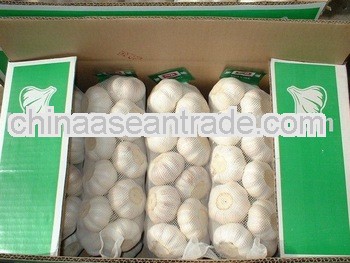 2013 shandong white garlic price low