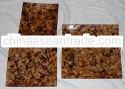 black pen penguin lip shell or atrina vexilum