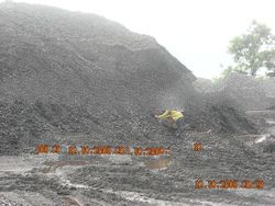 Steam Coal