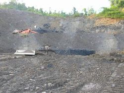 Steam Coal
