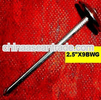 2.5" umbrella head roofing nail