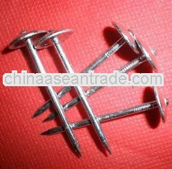 2.5"x9bwg galvanized roofing nails