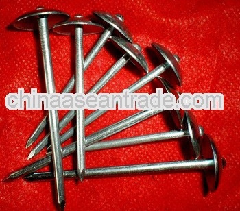 2.5"x9bwg smooth umbrella head roofing nails