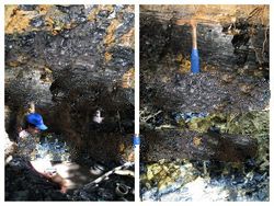 Steam Coal NCV (arb) 5500 - 5300Kcal/Kg