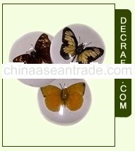 Butterfly Cup Cover